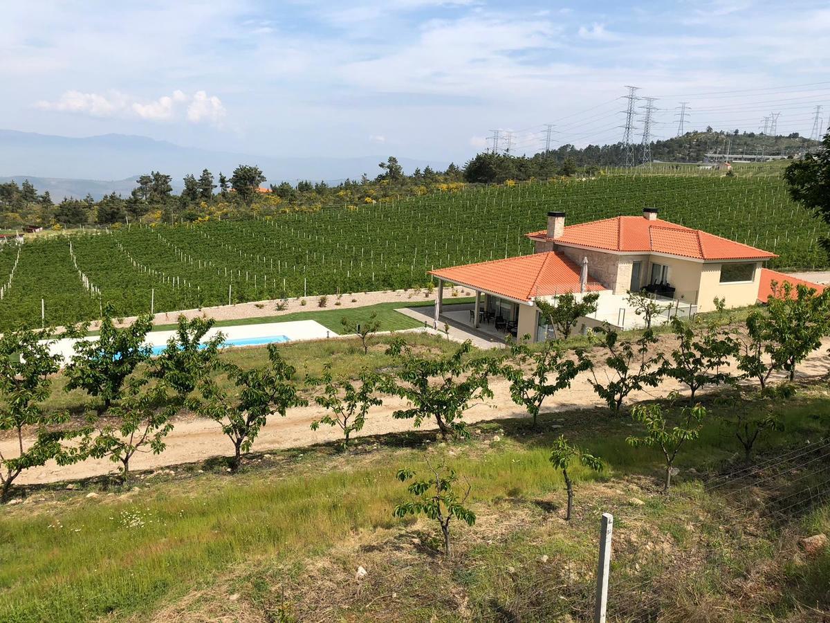 Aricera Quinta Bemboa Turismo Espaco Rural מראה חיצוני תמונה