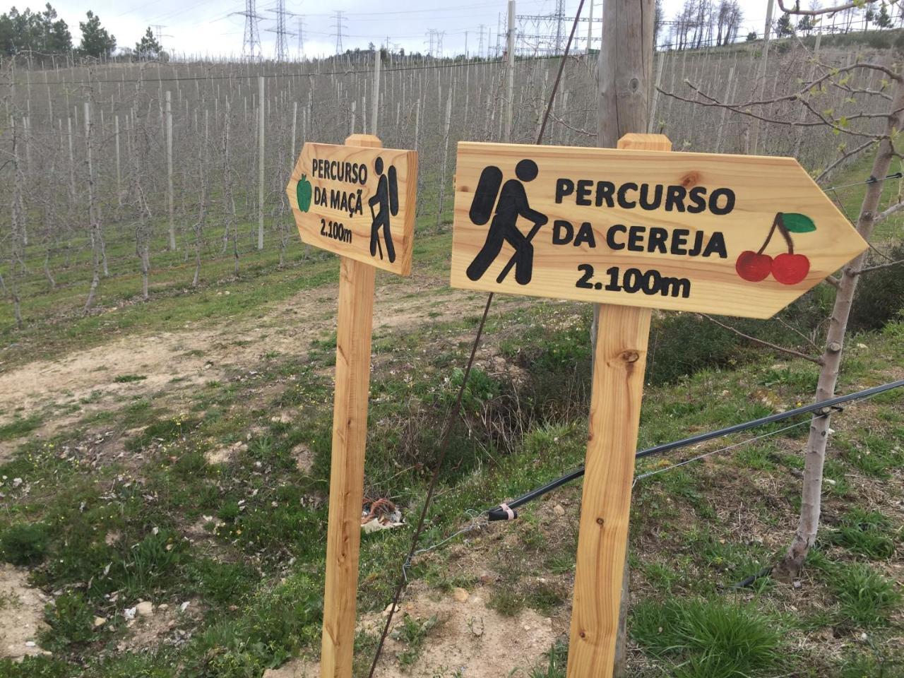 Aricera Quinta Bemboa Turismo Espaco Rural מראה חיצוני תמונה