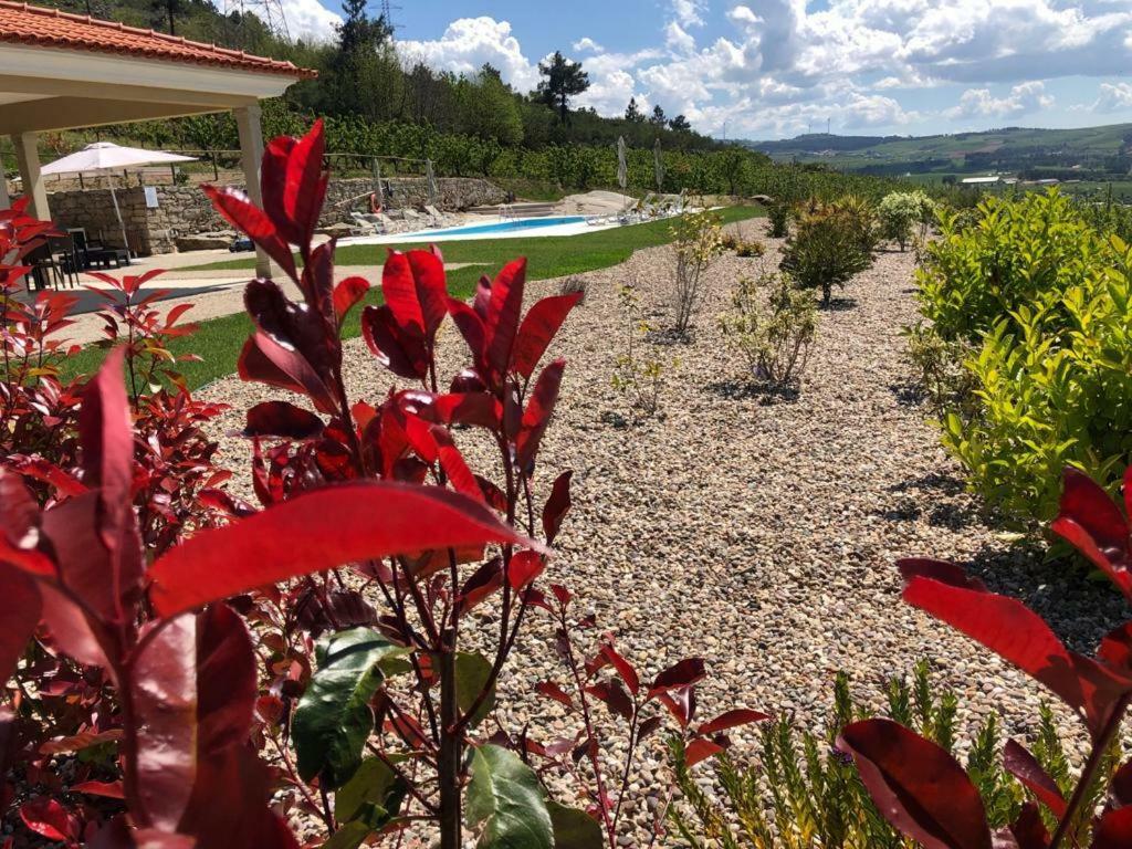 Aricera Quinta Bemboa Turismo Espaco Rural מראה חיצוני תמונה